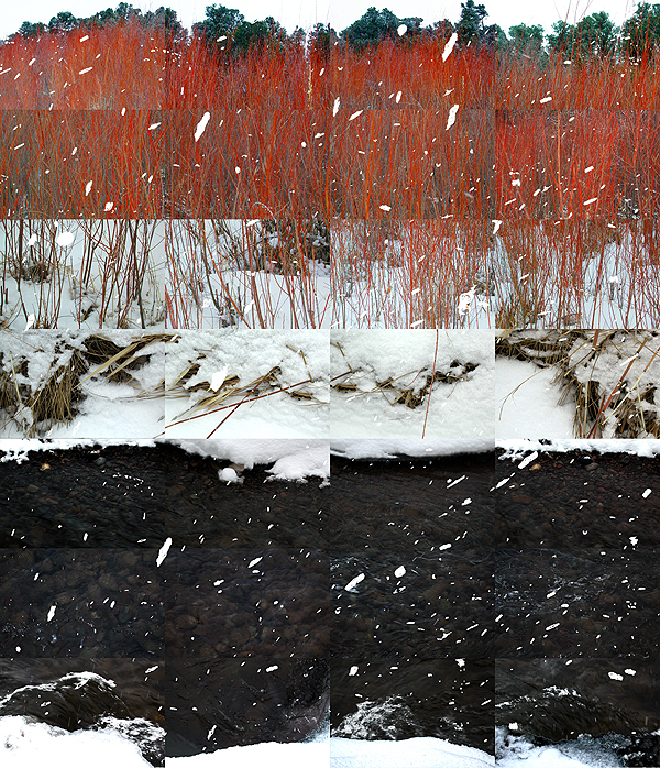 "Willows in Snow on the Pecos River"